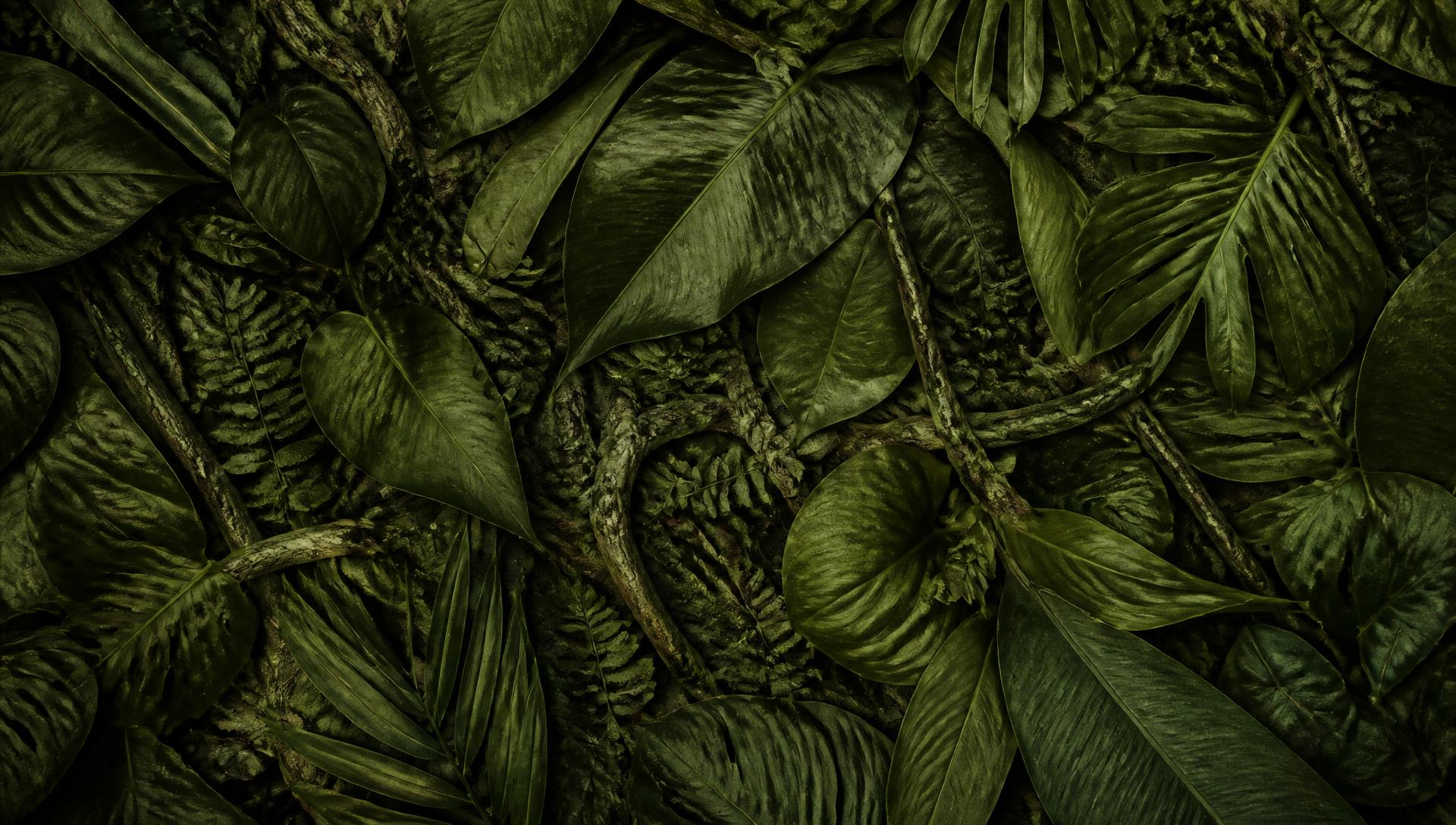 Textura de folhagem e raízes em tons de verde profundo